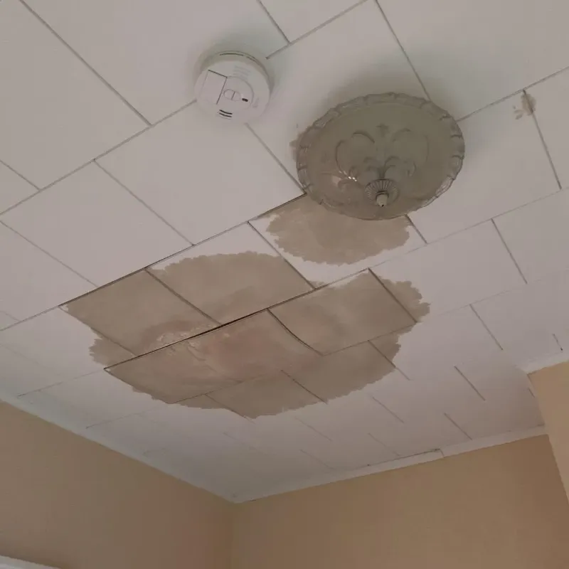 Ceiling Water Damage Repair in Weston, OH