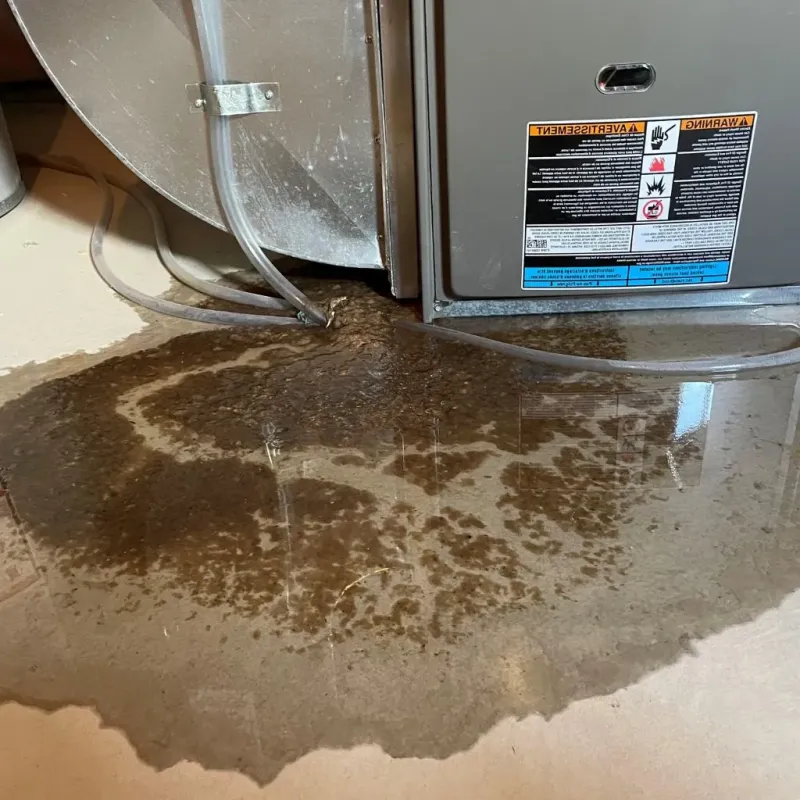 Pipe Burst and Leak Restoration in Weston, OH