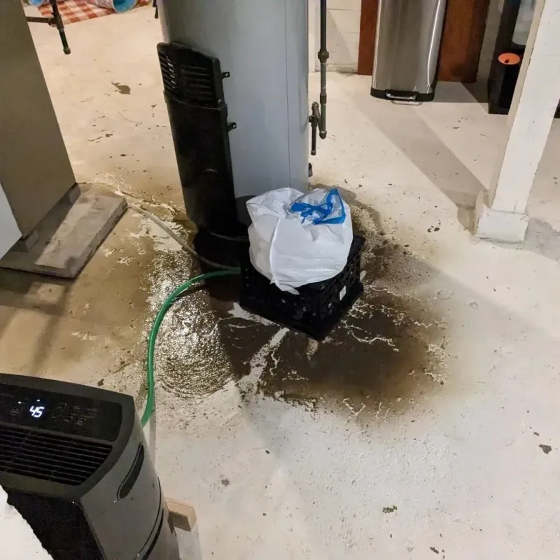 Sewage Backup Cleanup Service in Weston, OH